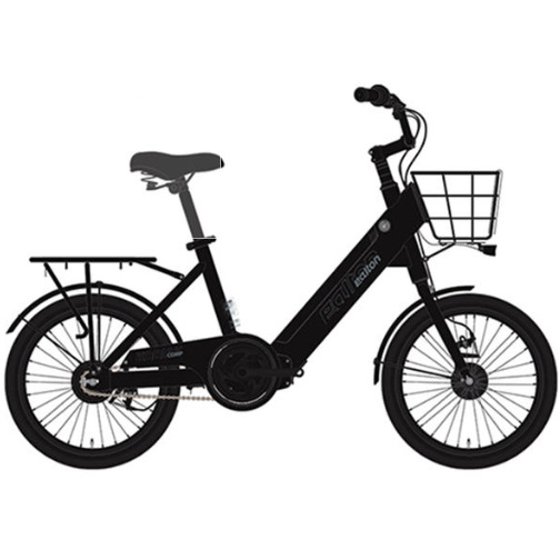 코디악 콤프 (2024년형)