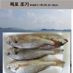 조기 목포부세조기5미24cm이상