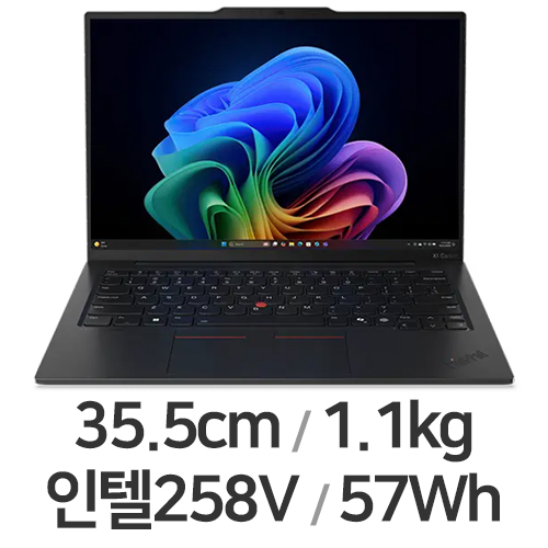 레노버 씽크패드 X1 카본 Gen13 21NSS03100 (SSD 4TB)