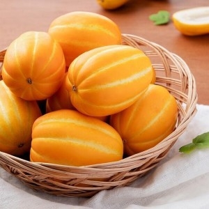 고당도 성주 가정용 참외 3kg 랜덤과