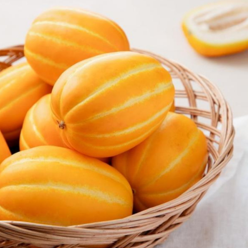 아침애딴 고당도 가정용 성주 참외 랜덤과 3kg (1개)