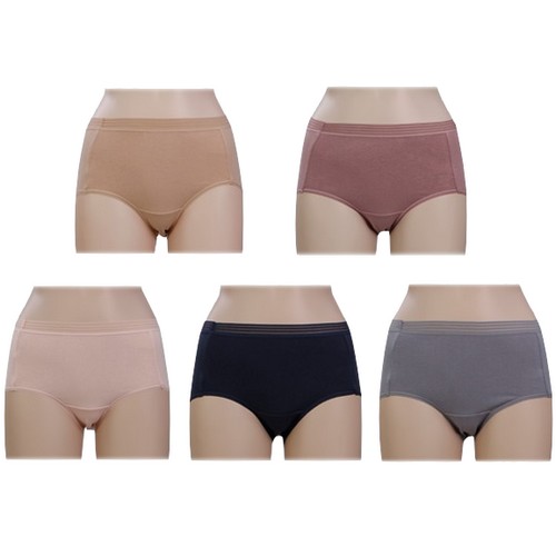 동화인터내셔널 물랑루즈 베이직 맥시 팬티 5종 세트 MWPXF-549 (5매)