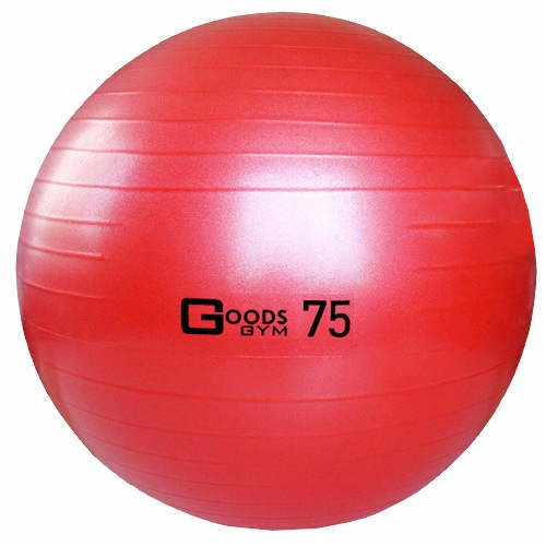 구스짐 프리미엄 짐볼 75cm