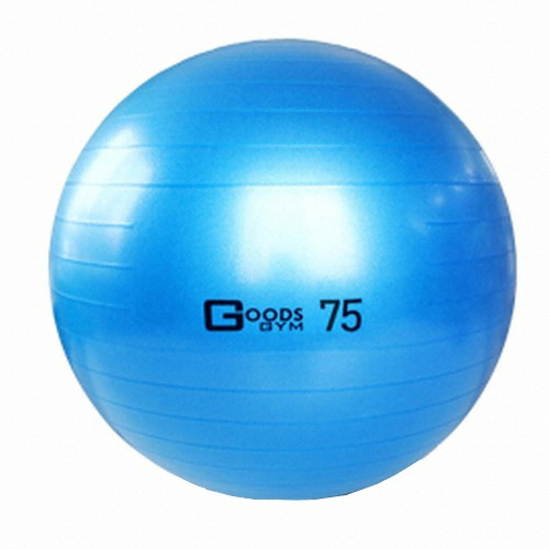 구스짐 프리미엄 짐볼 75cm_이미지