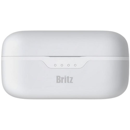 Britz �긮�����ͳ��ų� BZ-T10ANC