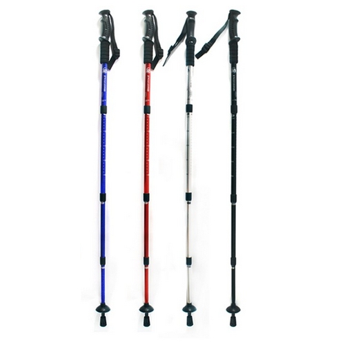 바이온 일자형 4단 알루미늄 스틱 세트