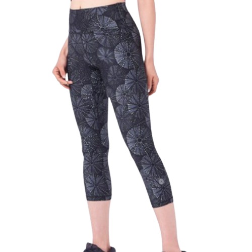 ��ǰ �� �̹���