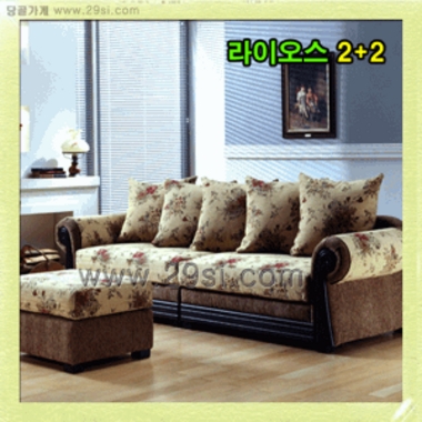 ���ػ�� ���̿��� �к긯 ����(2+2��,����)