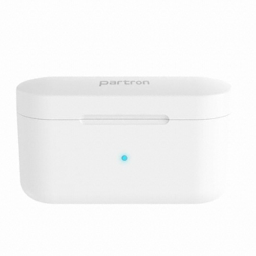 파트론 PWE-100_이미지