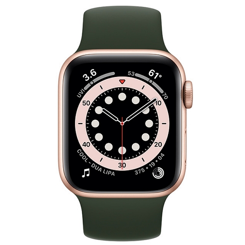 APPLE ��ġ �ø���6 44mm ��� �˷�̴�