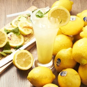 프레쉬 칠레 레몬 2kg 19입내외 /초이스,팬시레몬 선택구매