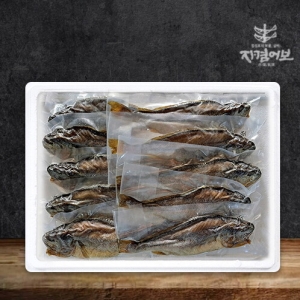 자겸어보 영광법성포 간편 찐보리굴비 부세 10미 30~32cm [1개]