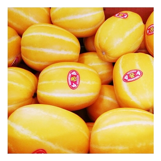 익산원예농협 성주 참외 특 소과 7~13개(과)내외 2kg (1개)_이미지
