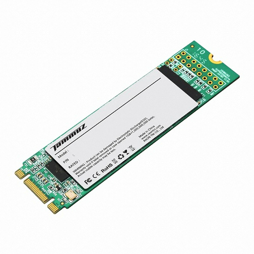 타무즈 M530 M.2 SATA (256GB)_이미지