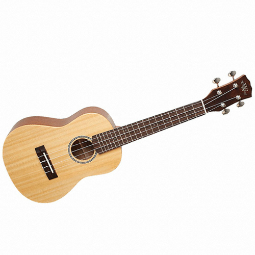 와일드우드 WC-600S