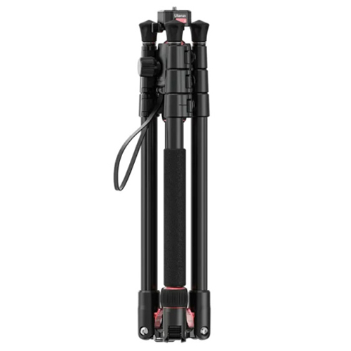 ����� TT31 Ŭ�� �ﰢ��