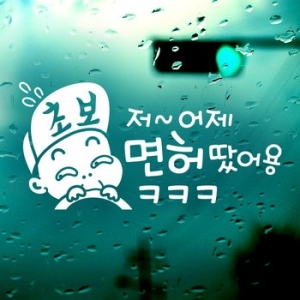 제제데코 저 어제 면허 땄어용ㅋㅋㅋ 초보운전 스티커_이미지