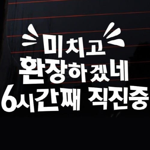 뭉키월드 자동차 스티커3 미치고 환장하겠네 6시째 직진중 LSC-395 (화이트)_이미지