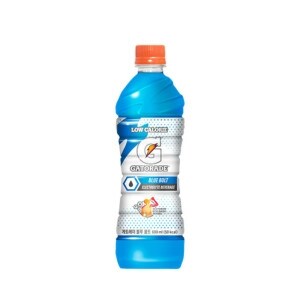 롯데칠성음료 게토레이 블루볼트 600ml(20개)