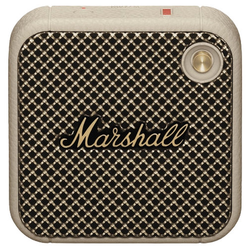 ���� ����