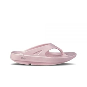 우포스 오리지널 (스타더스트)_이미지