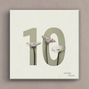 꾸밈 꾸밈 iw188-이달의플라워7_12