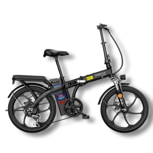 피닉스러쉬 스포크휠 해외구매 (48V, 15Ah)_이미지