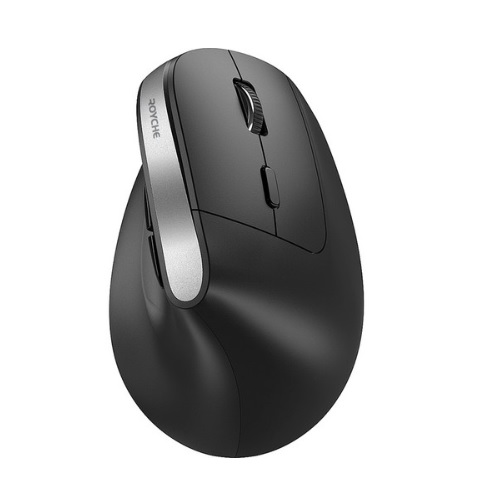 ROYCHE RX-800V 무선