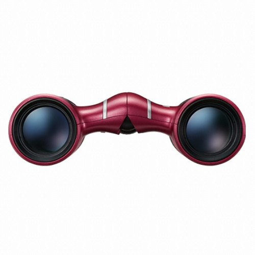 ���� ����� T02 8x21