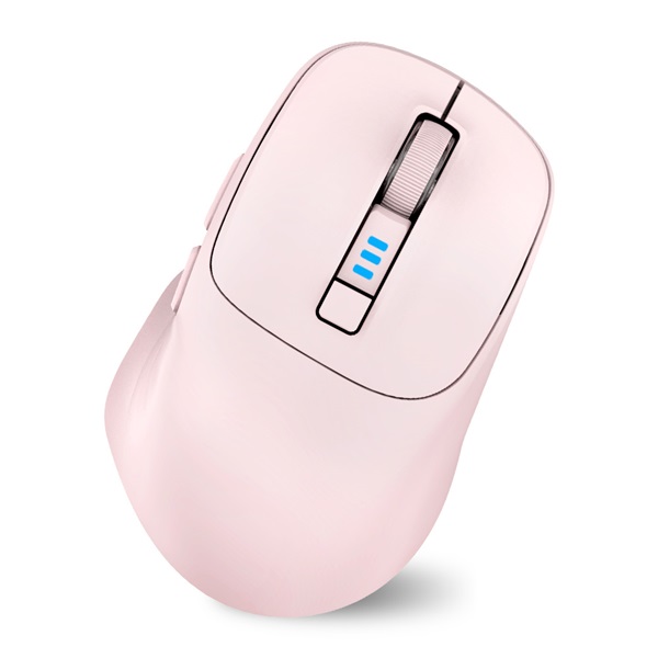 ��Ÿ ���� CREW SWIFT ����