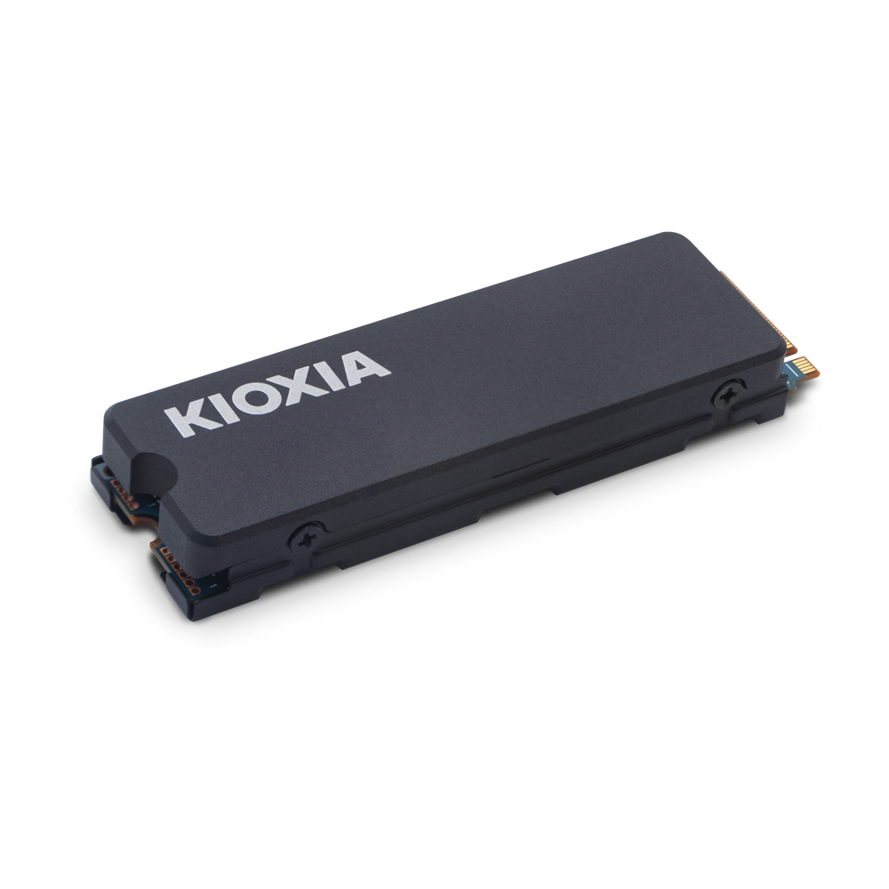 Ű���þ� EXCERIA ��Ʈ��ũ M.2 NVMe �߰�