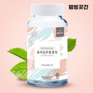  웰빙곳간 돌외잎 추출물정 600mg 120정