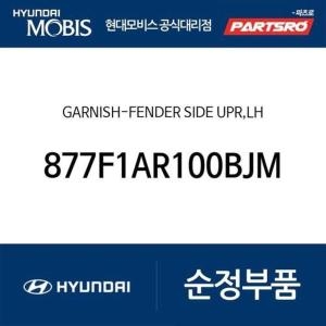  제네시스 현대모비스 가니쉬-펜더 사이드 어퍼 좌측 877F1AR100BJM GV70 전기차/GV70 JK1