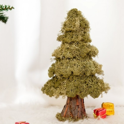 플라워트리 스칸디아모스마운틴트리