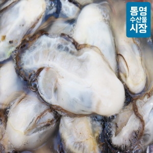 통영수산물시장 통영 햇 생굴 2kg이미지입니다. 누르면 해당 게시물로 새창이동합니다.