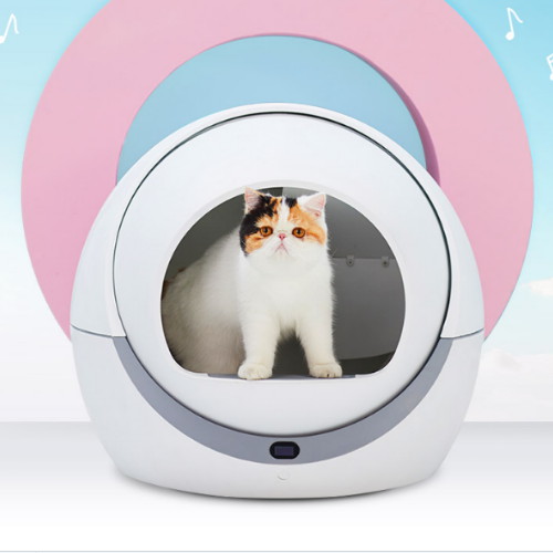 ��Ŭ ����Ʈ�� ������ �ڵ�ȭ���