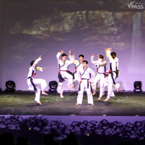 [불명] [제주] 태권마샬아트공연 (소인1)