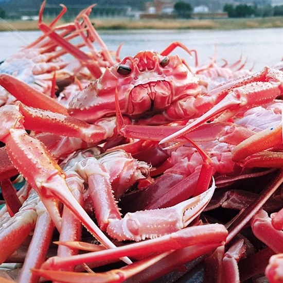 제철 홍게 박달 대게 프리미엄 혼합 3kg (1개)_이미지