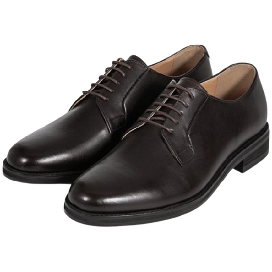 �ſ� �ķ�����Ʈ �÷����� ������ CA3502