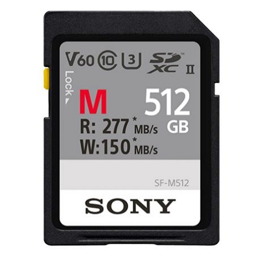 SONY SD M시리즈 2019