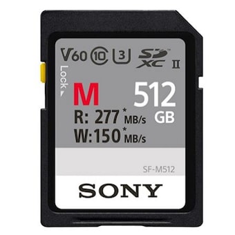 SONY SD M시리즈 2019