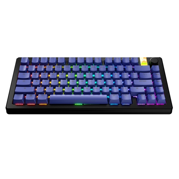 �۷θ�� GPBT Basics Űĸ ��Ʈ