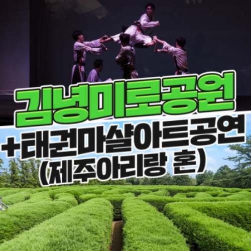 ㅤ김녕미로공원 + 태권 마샬아트 공연 제주아리랑 혼 이용권 (제주) (대인)_이미지