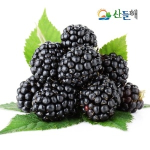 산들해 지리산 슈퍼복분자 5kg 햇 블랙베리/산지직송_이미지
