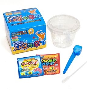 꼬마새우키우기 12개 새우관찰 기르기 키트 단체선물 9931953
