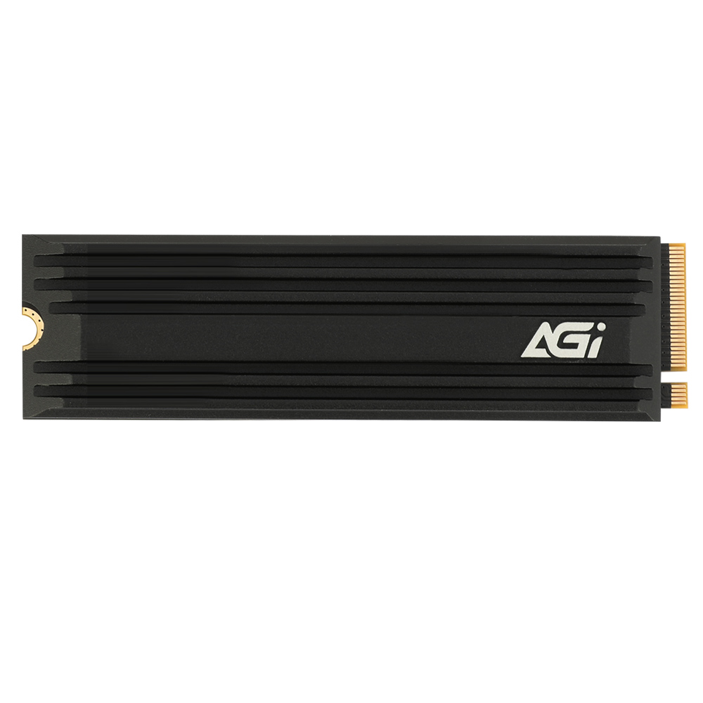 AGI AI838 M.2 NVMe (2TB)