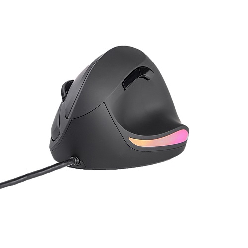 다얼유 LM121 버티컬 인체공학 마우스