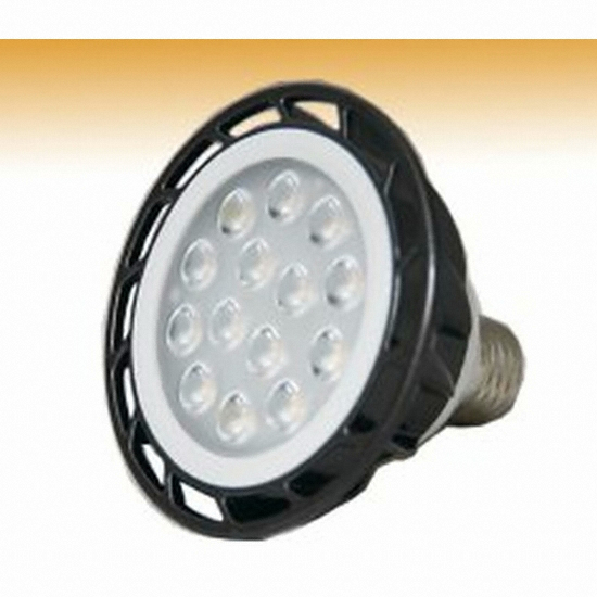 내셔날스테이트코리아 NASPIL LED PAR30 집중형 할로겐전구 주광색 15W (1개)