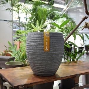 [�Ҹ�] esteras �ǿܿ� FRP ����Ÿ��ȭ�� 28x30cm Timaru