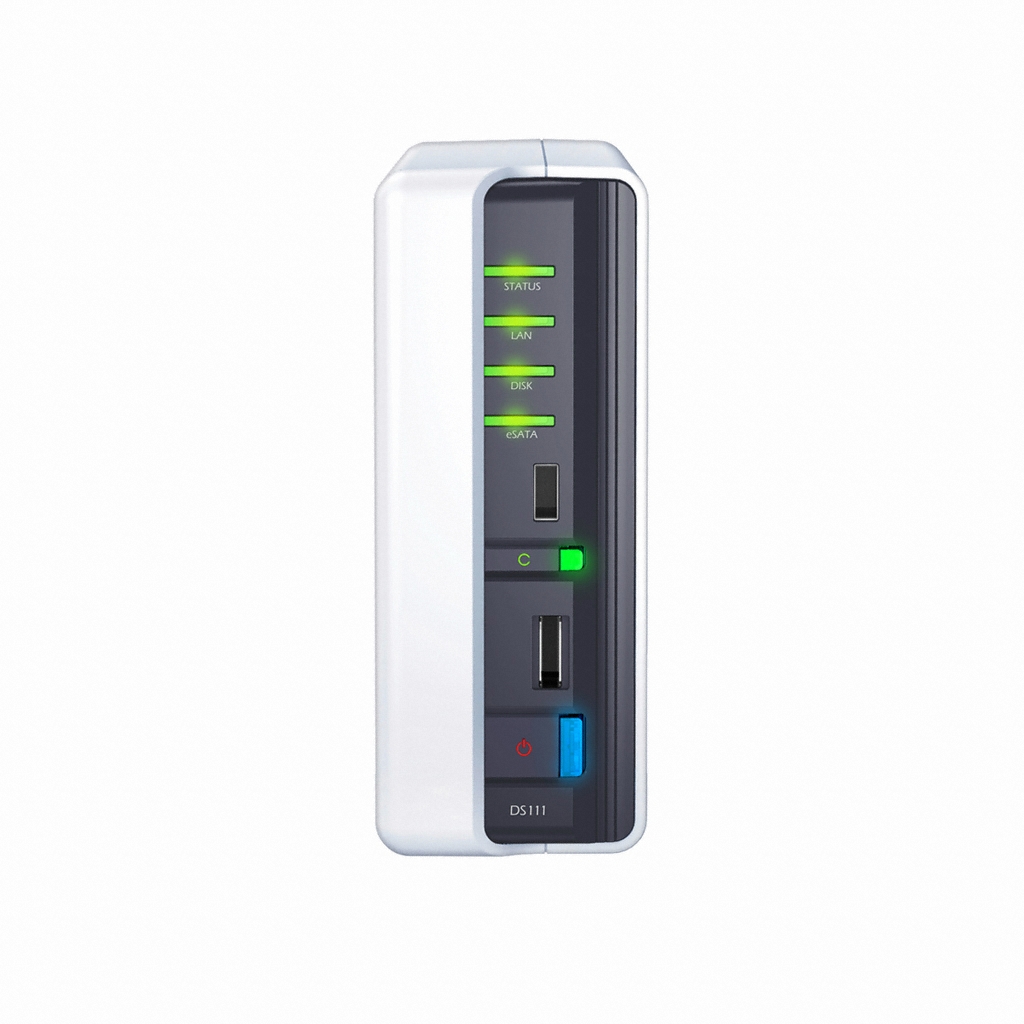 Synology DS111